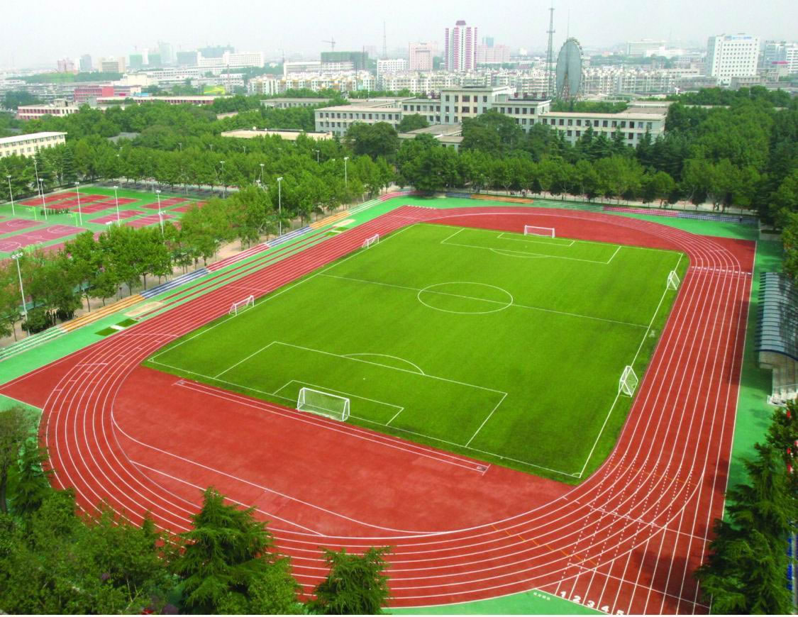 足球場人造草坪鋪設案例