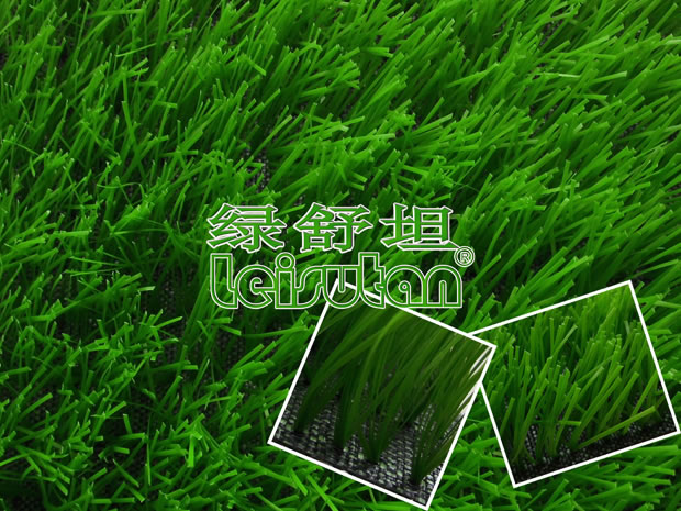 足球場人造草坪-D10
